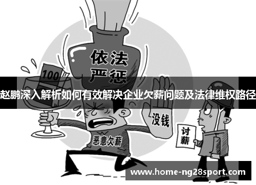 赵鹏深入解析如何有效解决企业欠薪问题及法律维权路径