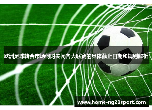 欧洲足球转会市场何时关闭各大联赛的具体截止日期和规则解析